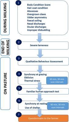 Feasibility and Reliability of the AWIN Welfare Assessment Protocol for Dairy Goats in Semi-extensive Farming Conditions